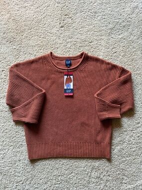 NWT GAP Women's Terracotta Crewneck Knit Sweater